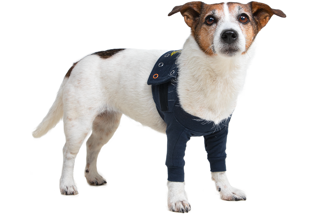 MPS-TAZ2® DOUBLE FRONT LEG SLEEVES CHIEN - Medical Pet Shirts