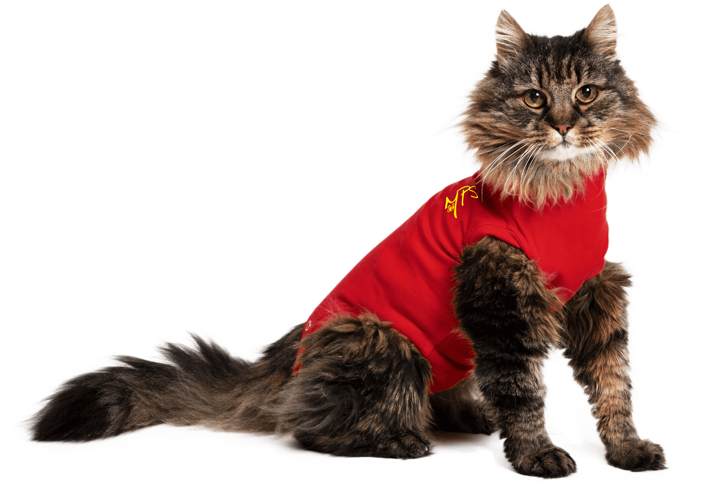 red cat shirt