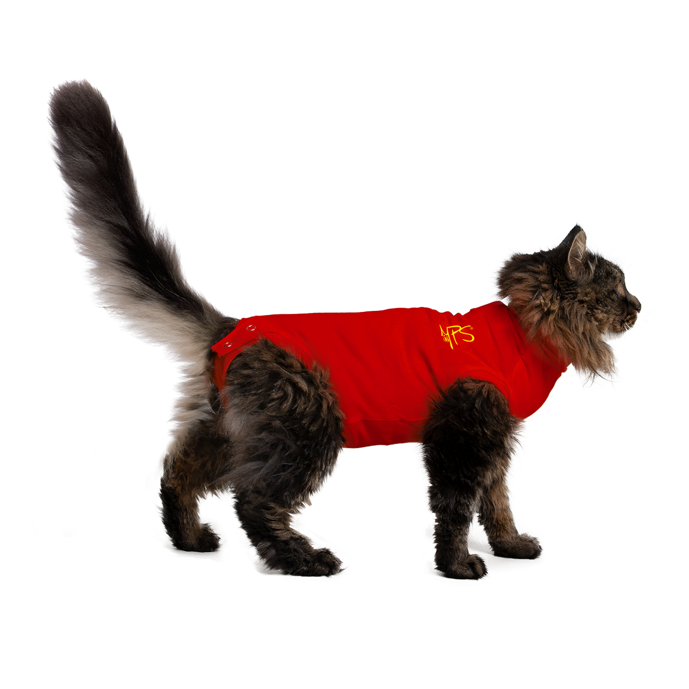 Orange MPS Medical Pet Shirt für Extra Kleine Katzen 