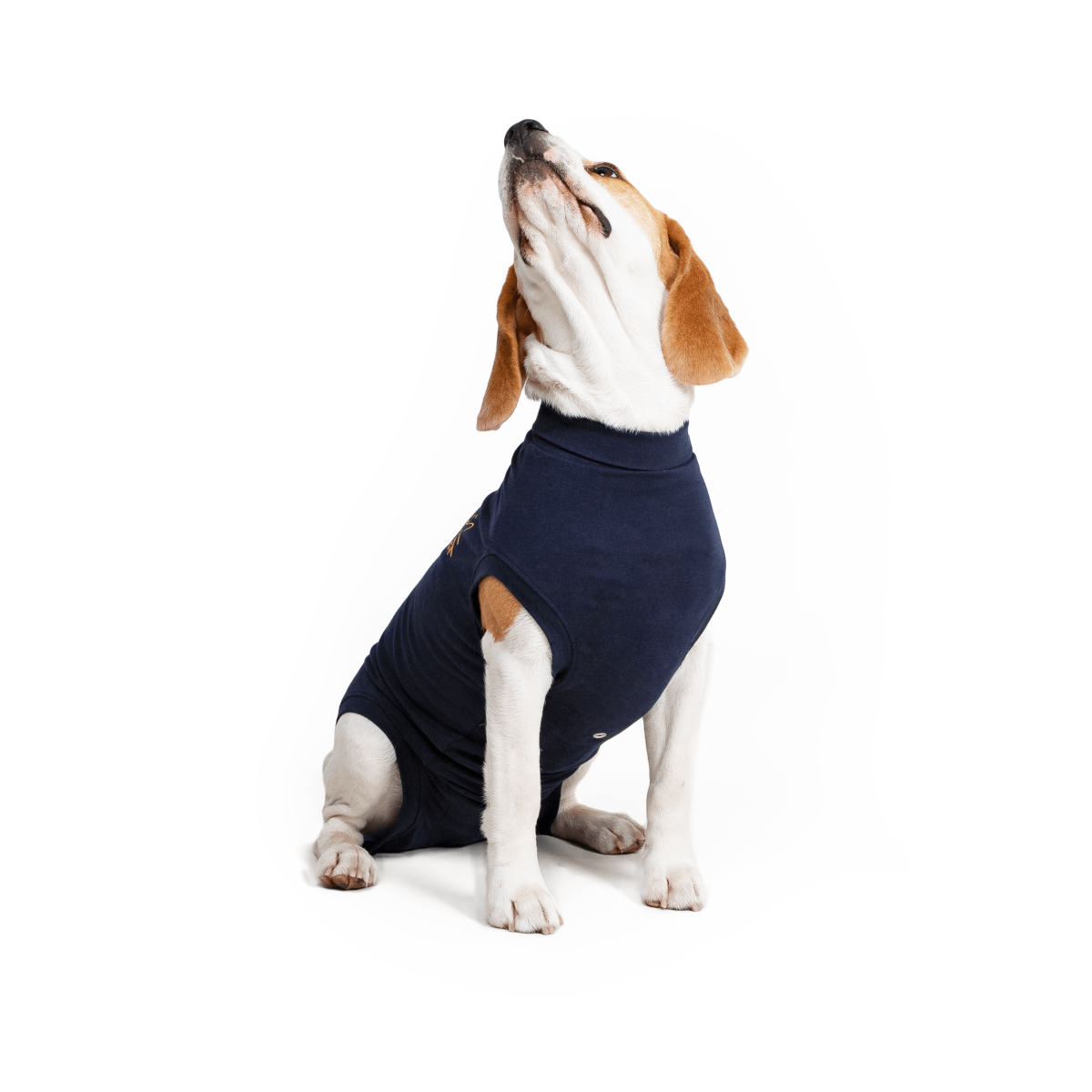 Petsmart Dog Clothes Size Chart