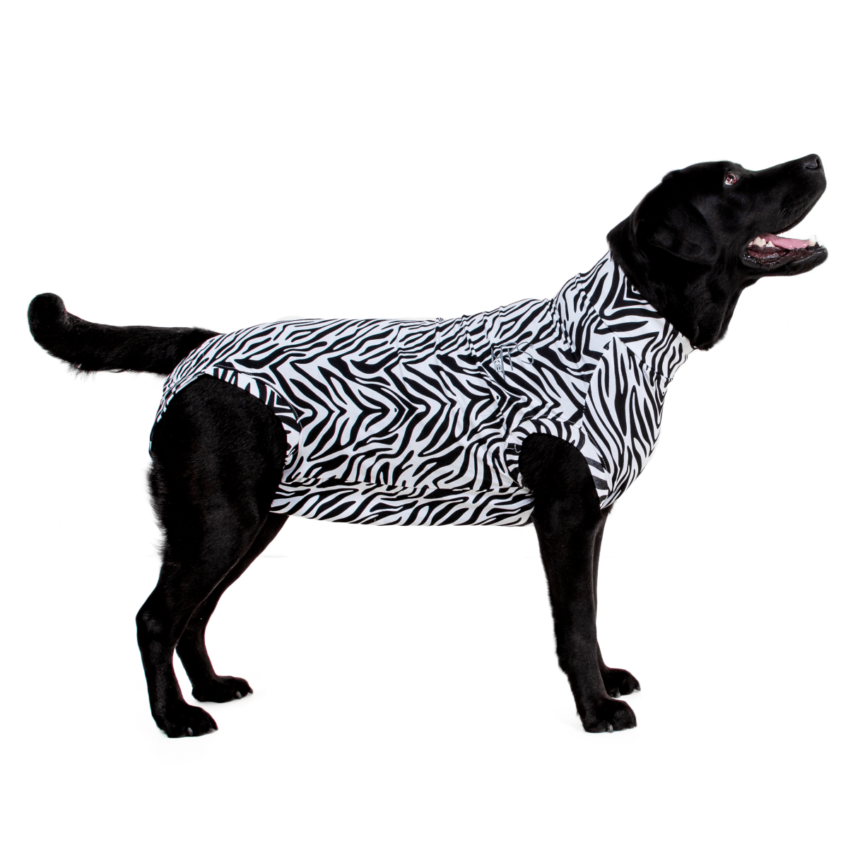 MPS-MEDICAL PET SHIRT DOG - Medical Pet Shirts