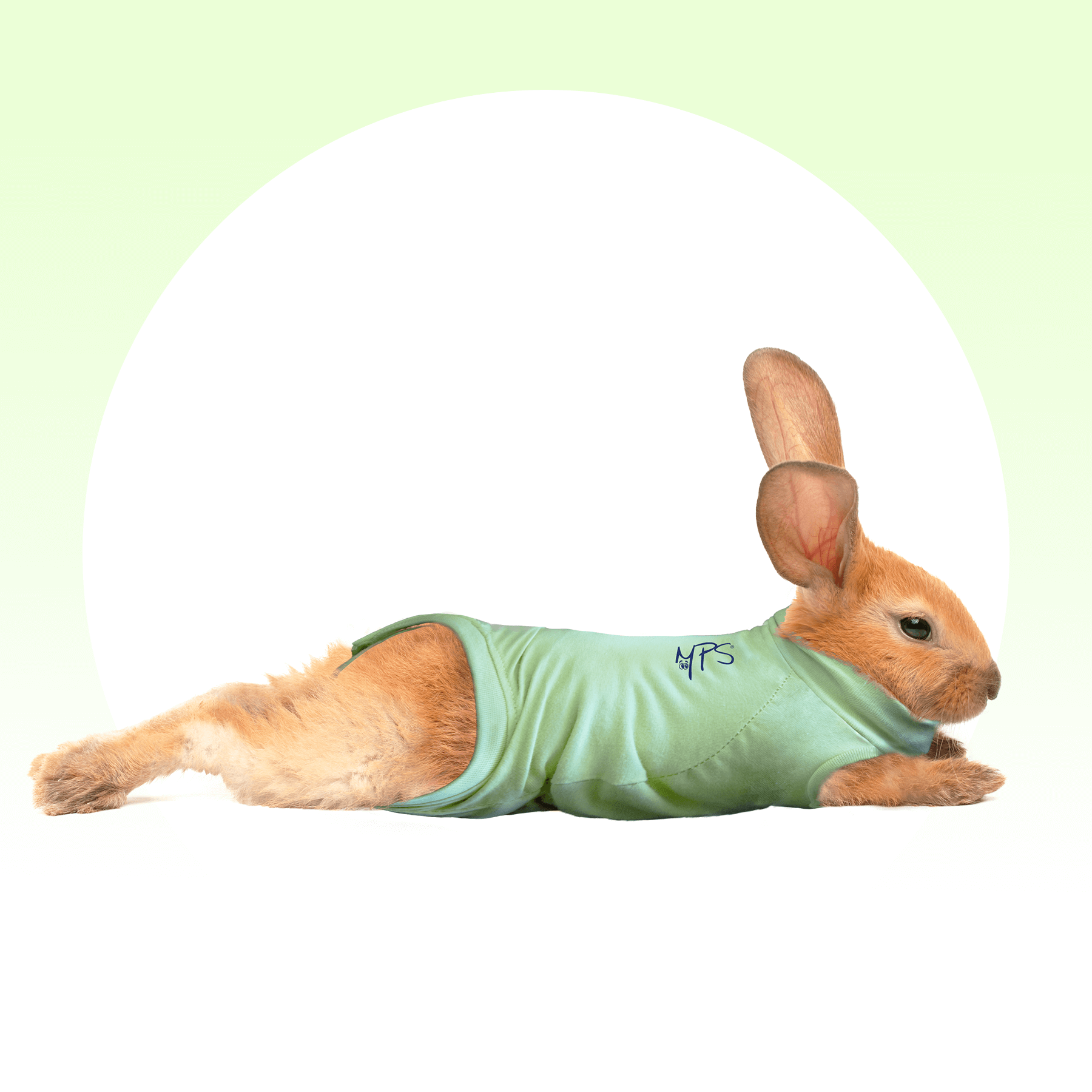 Medical Pet Shirt - Green XSmall [Rabbit] Each By Medical Pet Shirts