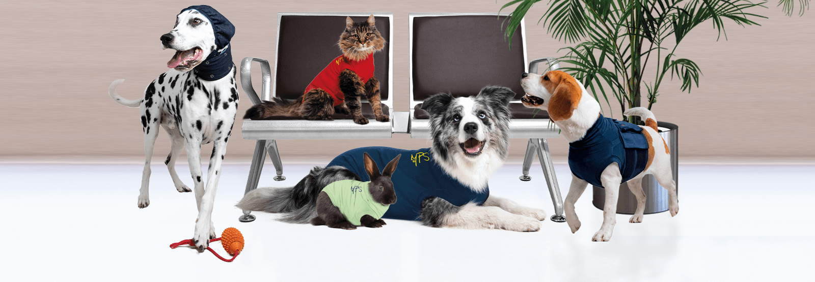 medical pet shirt pets at home