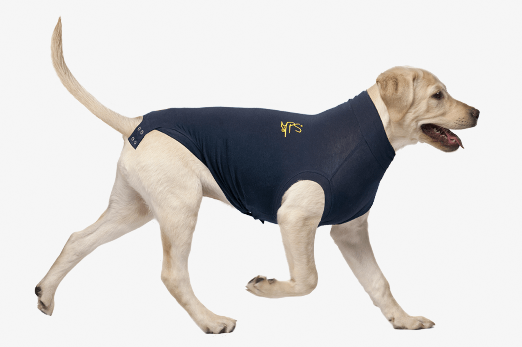 MPSMEDICAL PET SHIRT HUND Medical Pet Shirts