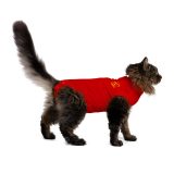 MPS-Medical Pet Shirt® Cat