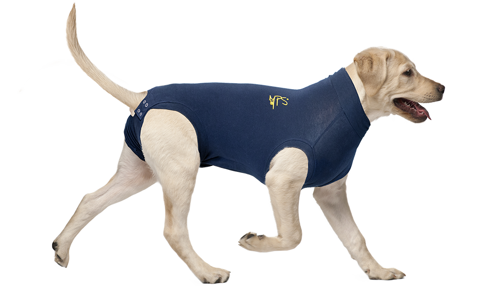 røg Långiver søsyge MPS-MEDICAL PET SHIRT® DOG - Medical Pet Shirts