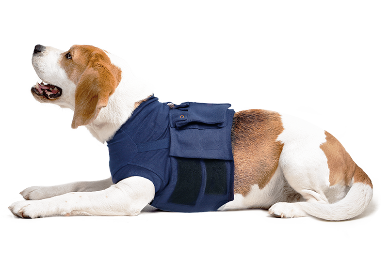 How to measure your dog for the MPS-Medical Pet Shirt®? by Medical Pet  Shirts on Vimeo