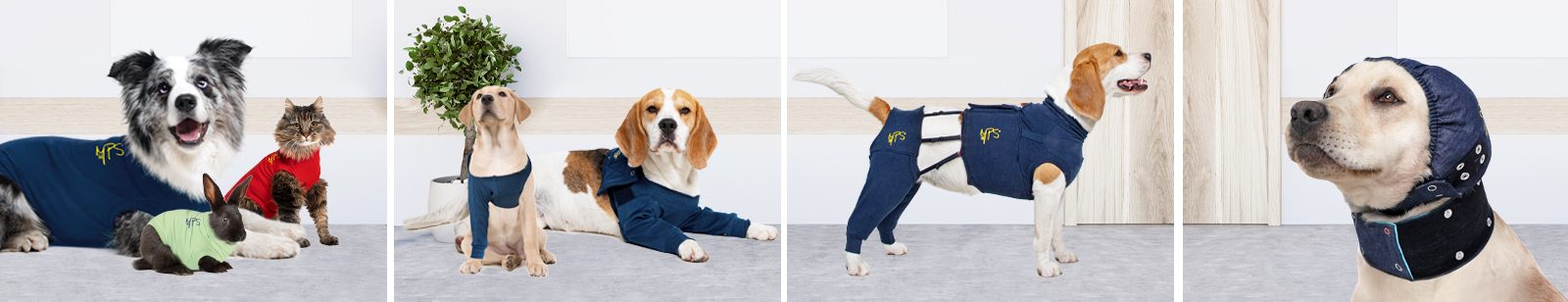 MPS Medical Pet Dog T-Shirt, Blue, X-Large : : Pet Supplies