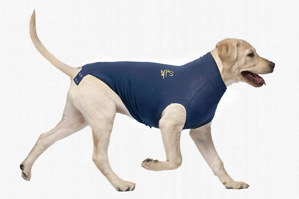 POPforPETS Post Operative Protection Shirt for Dogs Small