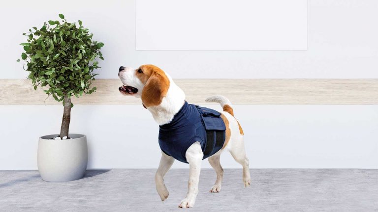 MPS-MEDICAL PET SHIRT® DOG - Medical Pet Shirts