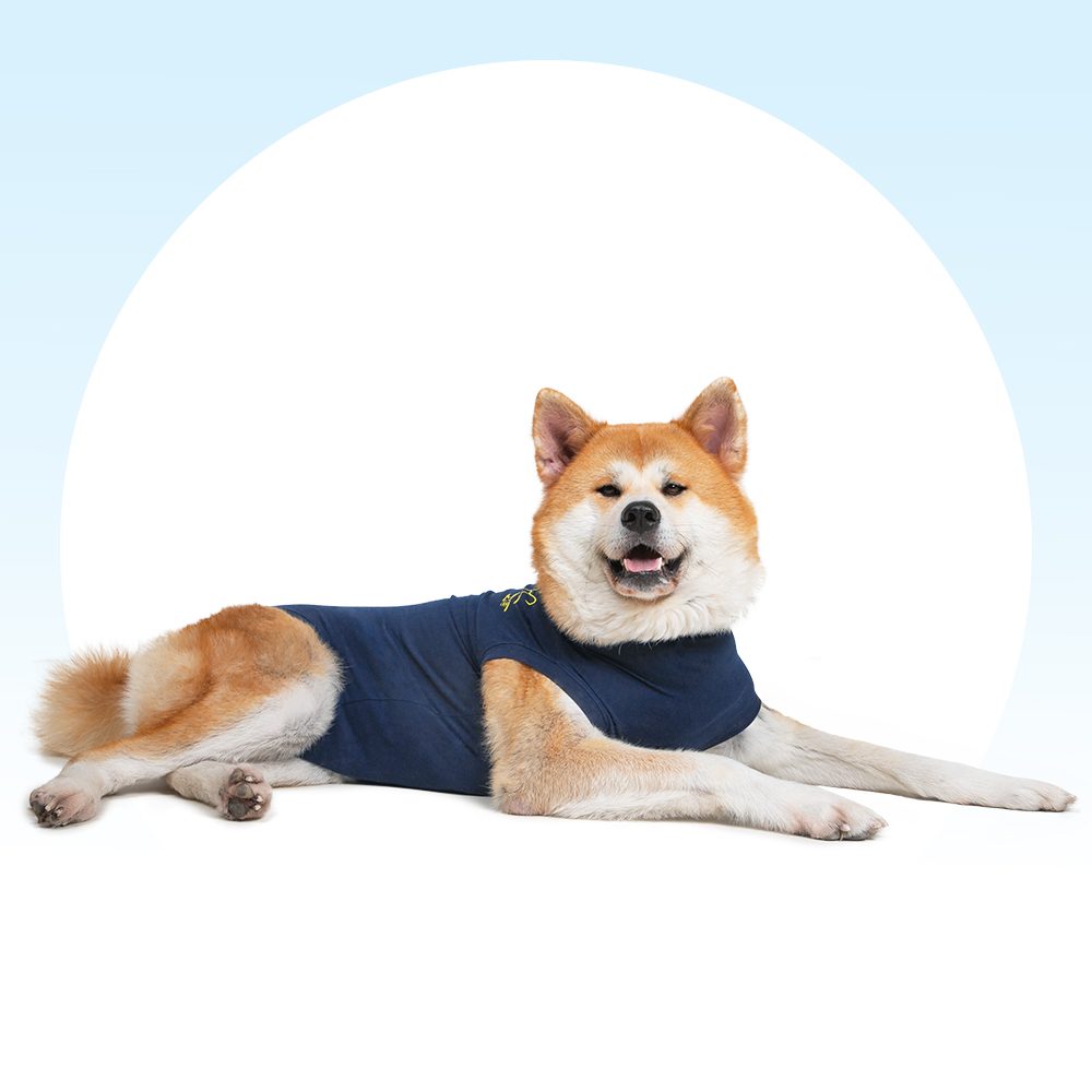 Doppelte vordere Beinmanschette Medical Pet Shirt M Hund 