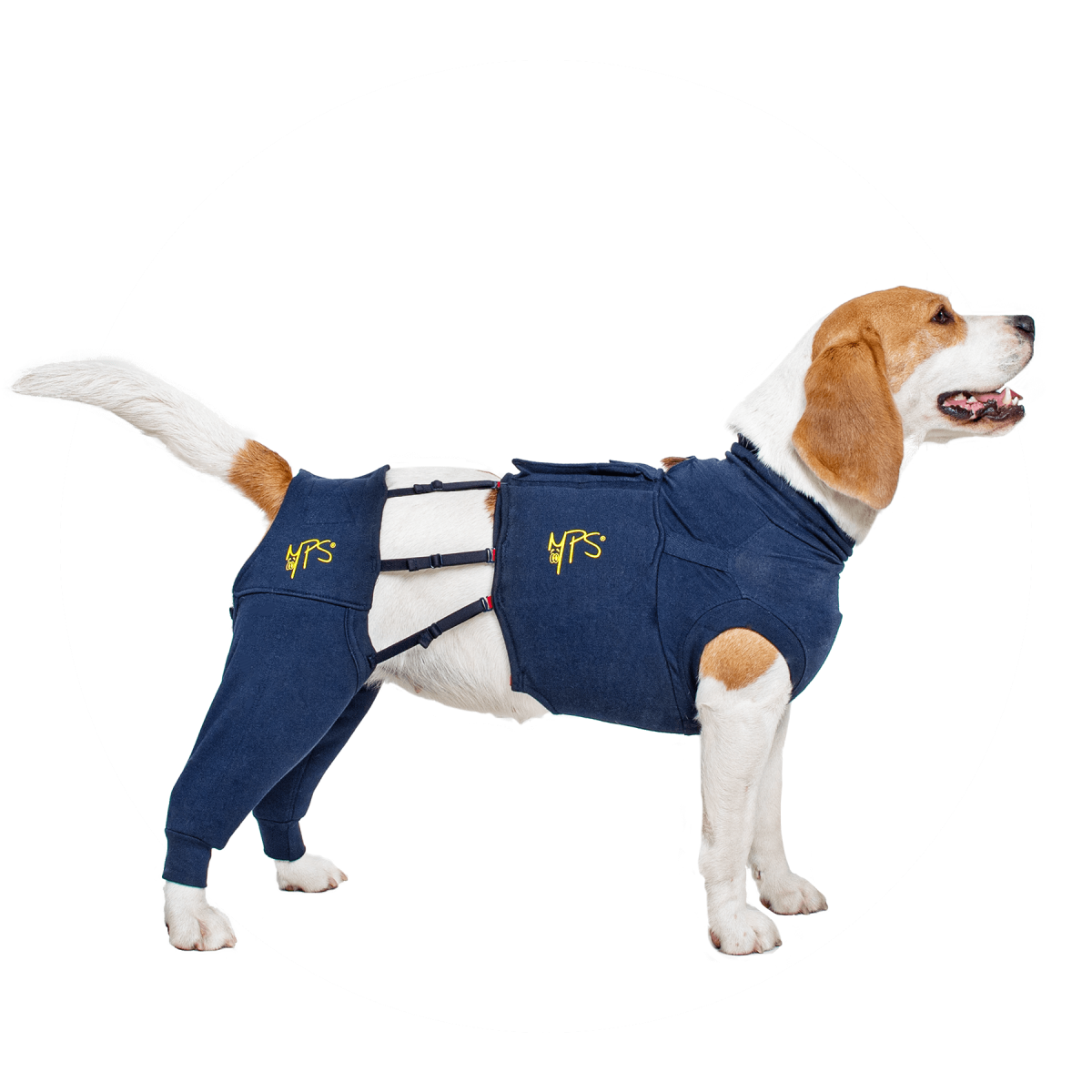 Medical Pet Shirts - Covering and protective products for pets.