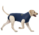 MPS Medical Pet Shirt für Hunde