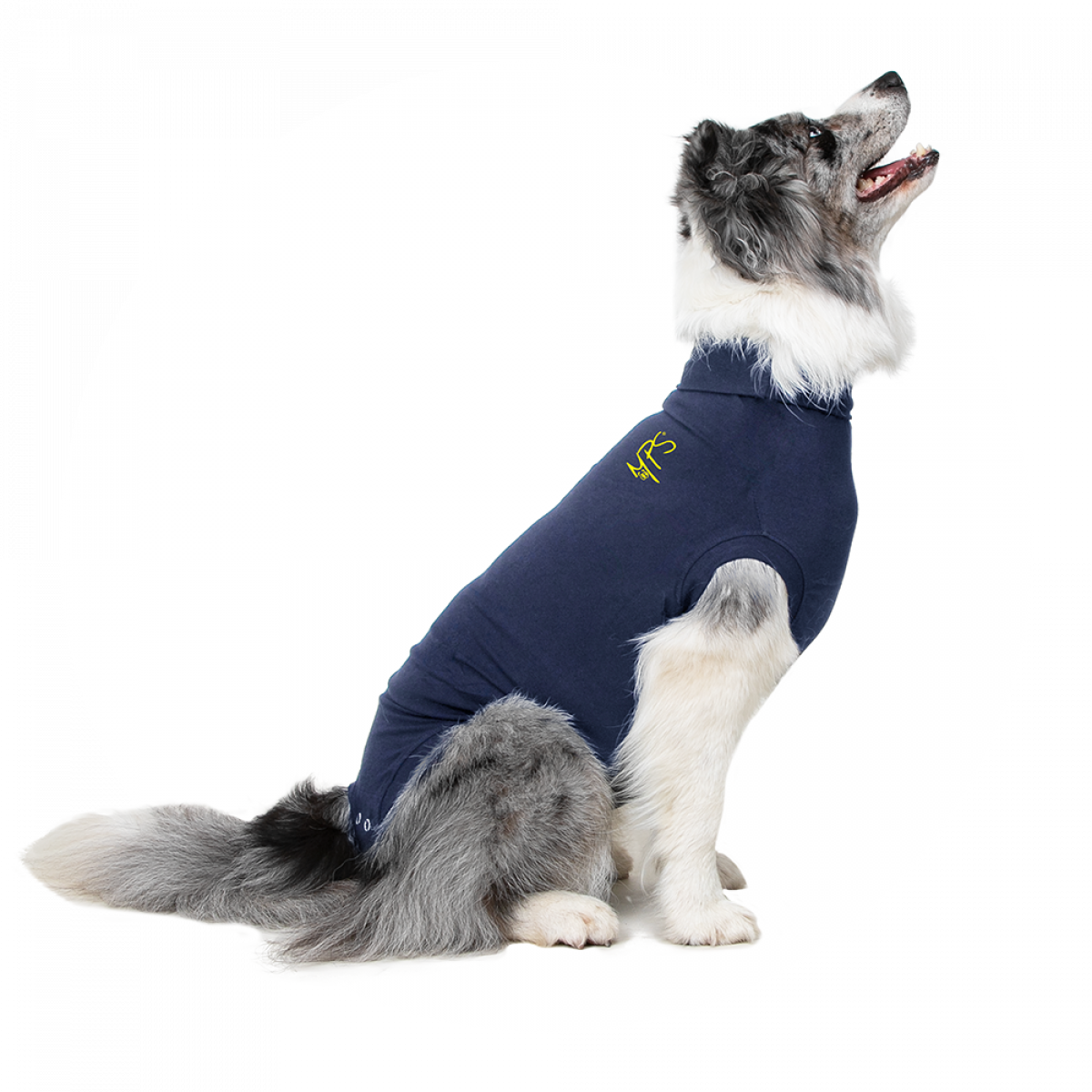 Karu kasteel Bestaan MPS-MEDICAL PET SHIRT® HOND - Medical Pet Shirts