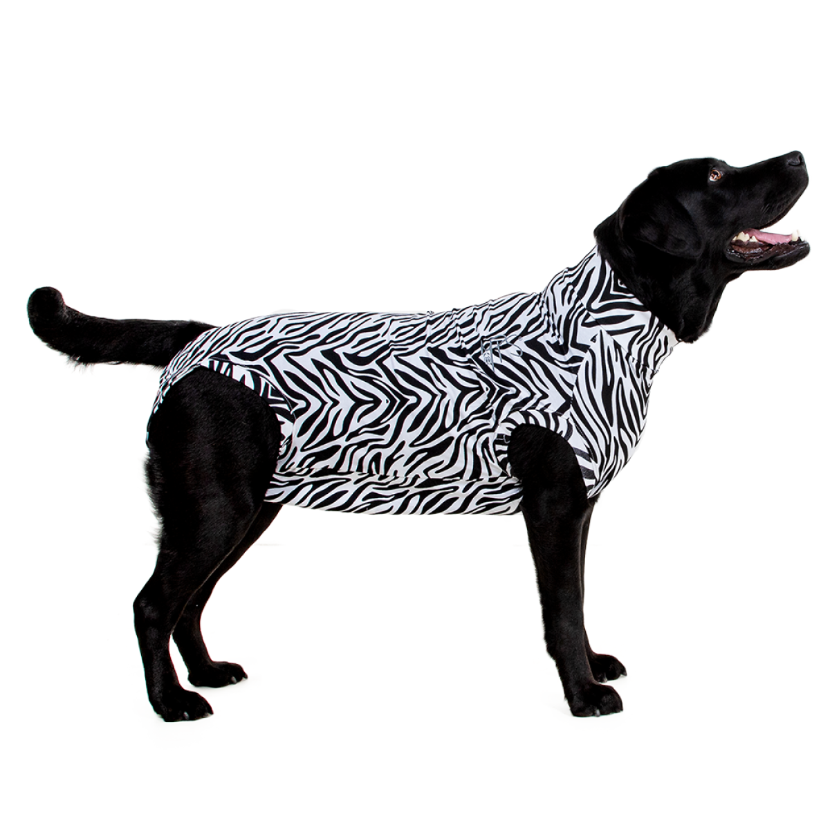 Op de loer liggen Klokje Ochtend MPS-MEDICAL PET SHIRT® DOG - Medical Pet Shirts