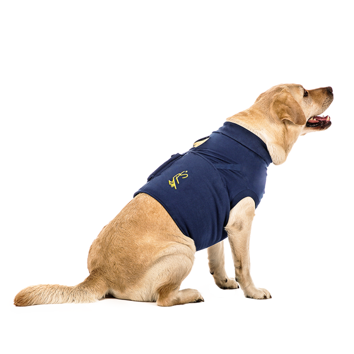 MPS-MEDICAL PETS BOOT® DOG - Medical Pet Shirts