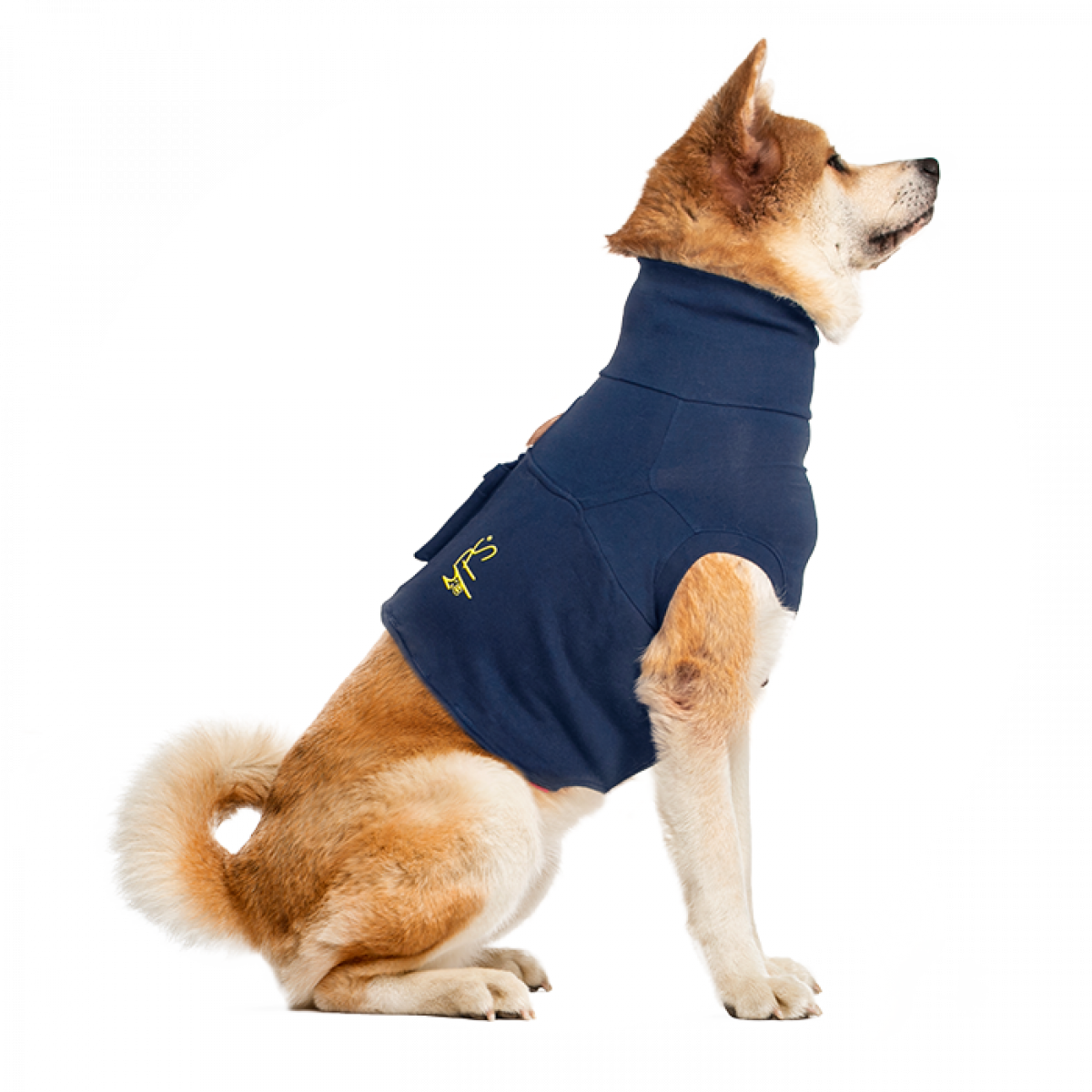 Kommuner Afdæk overvælde MPS-TOP SHIRT 4-IN-1® DOG - Medical Pet Shirts