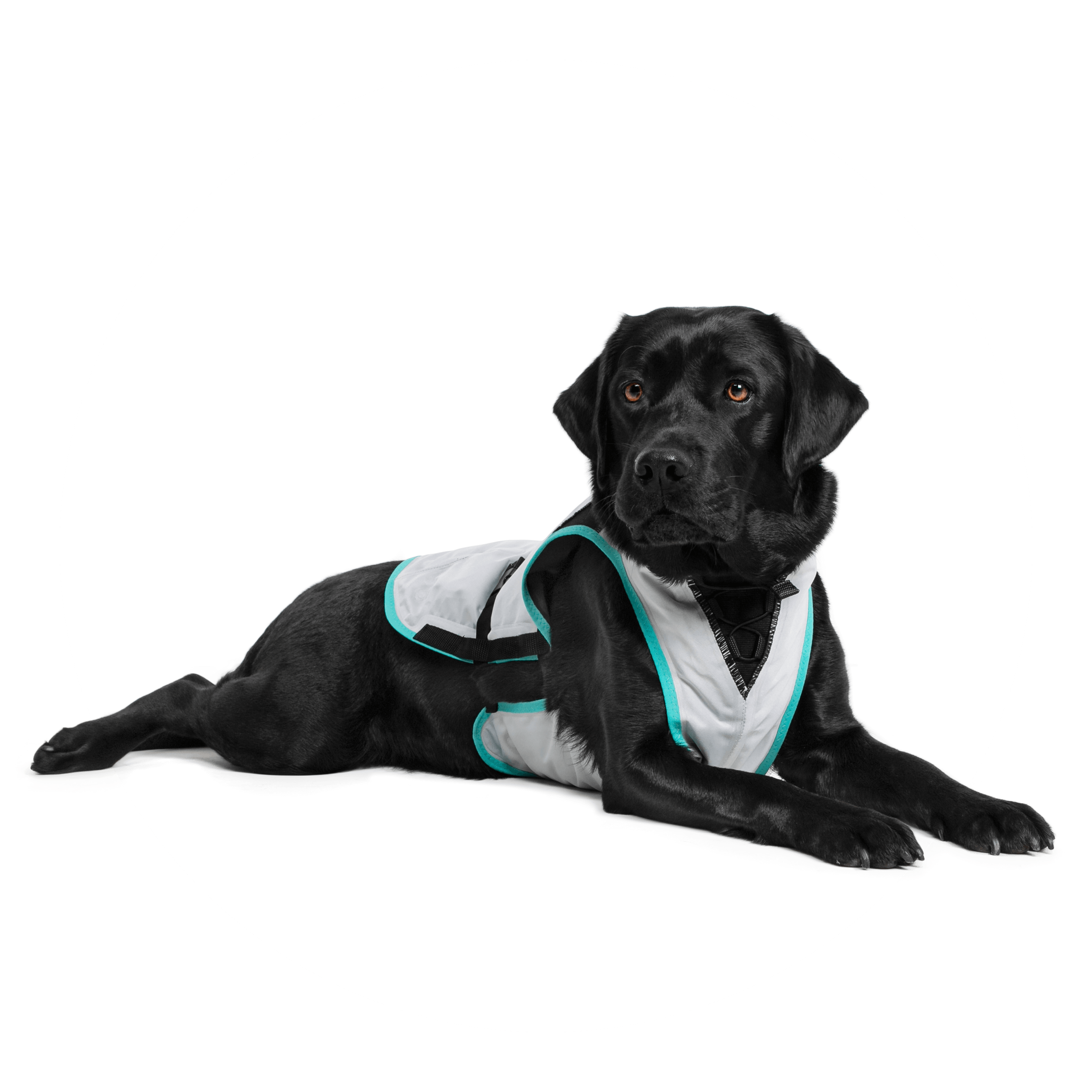 DRY® COOLING VEST Medical Pet Shirts