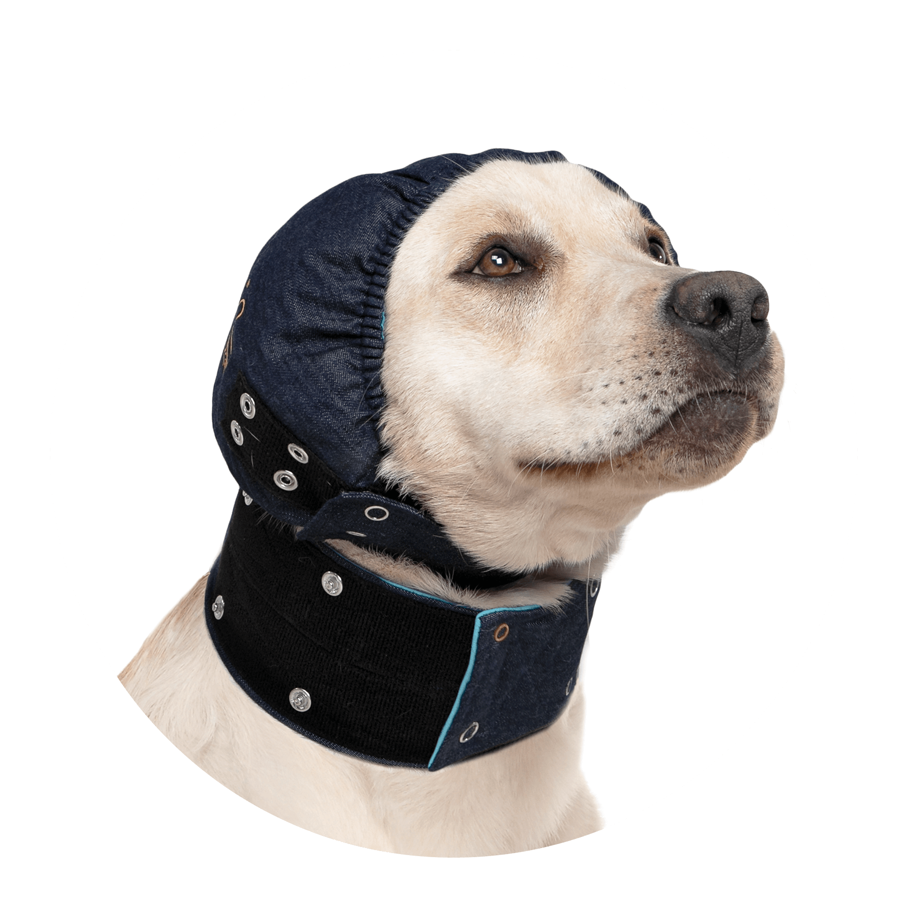 MPSHEAD COVER® DOG Medical Pet Shirts