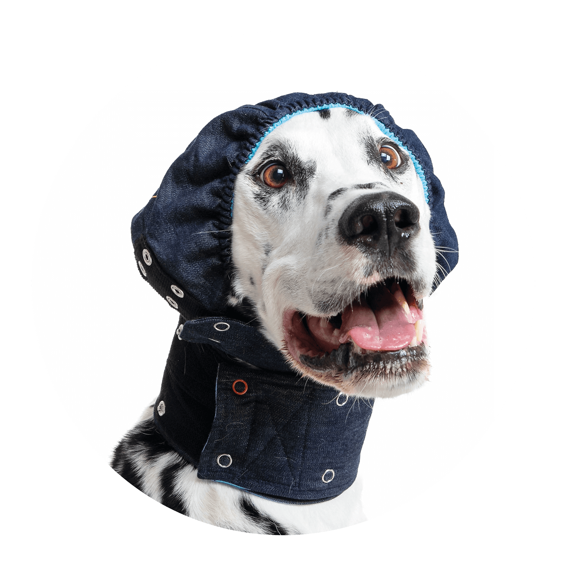 MPS-HEAD COVER® HOND - Medical Pet Shirts