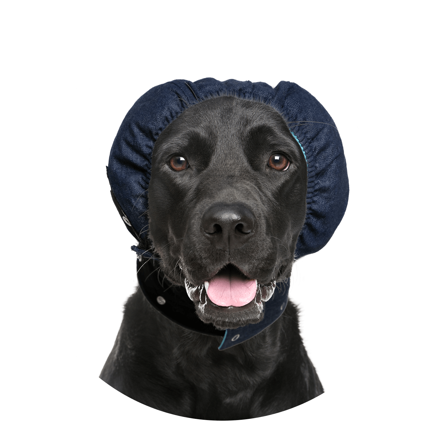 MPS-HEAD COVER® DOG - Medical Pet Shirts