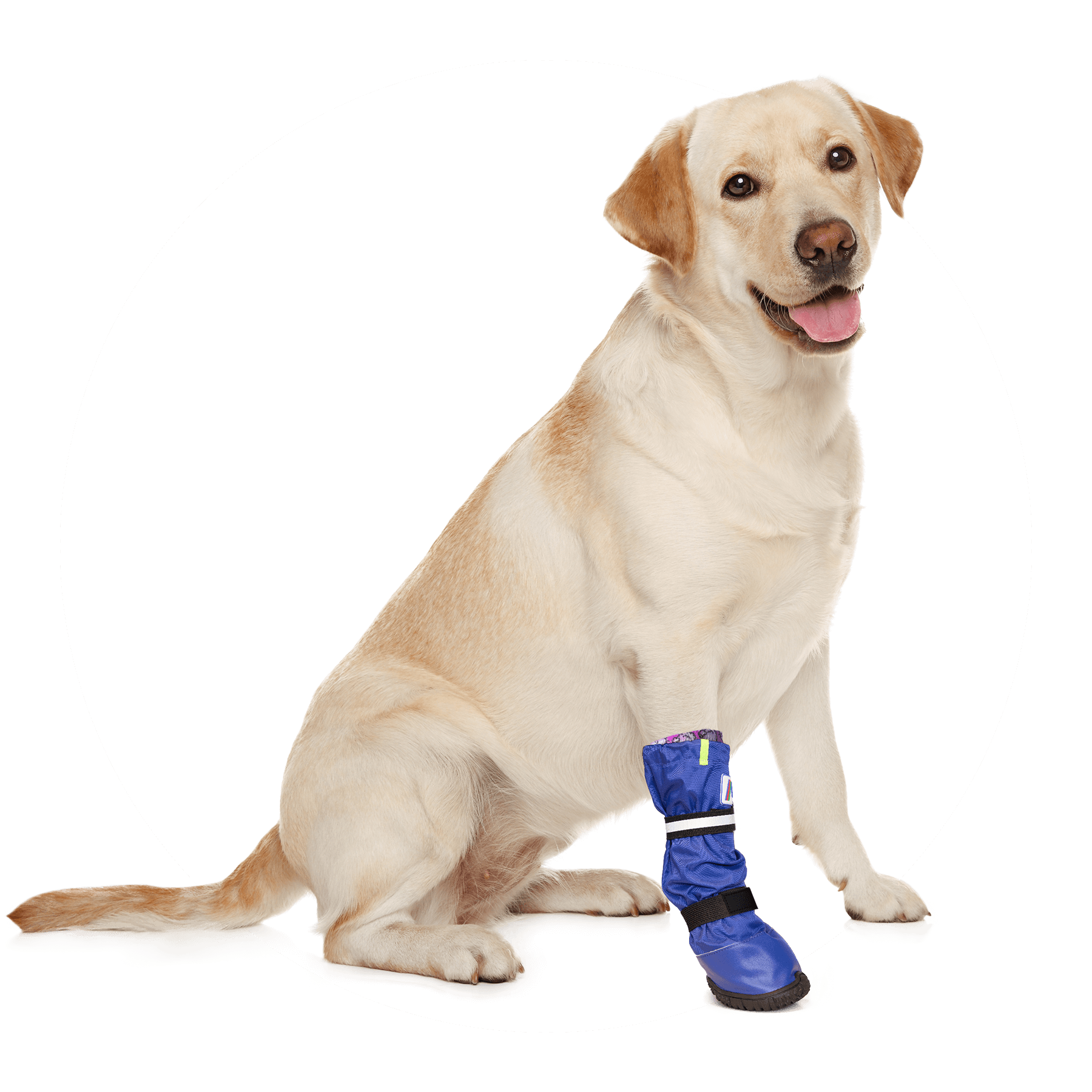 mps-medical-pets-boot-dog-medical-pet-shirts